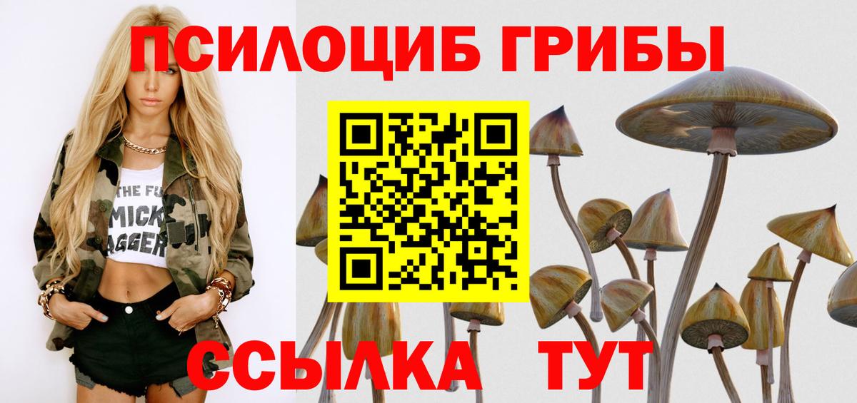 Псилоцибиновые грибы мицелий  Вход с VPN  Красноярск  Псилоцибиновые грибы мицелий 